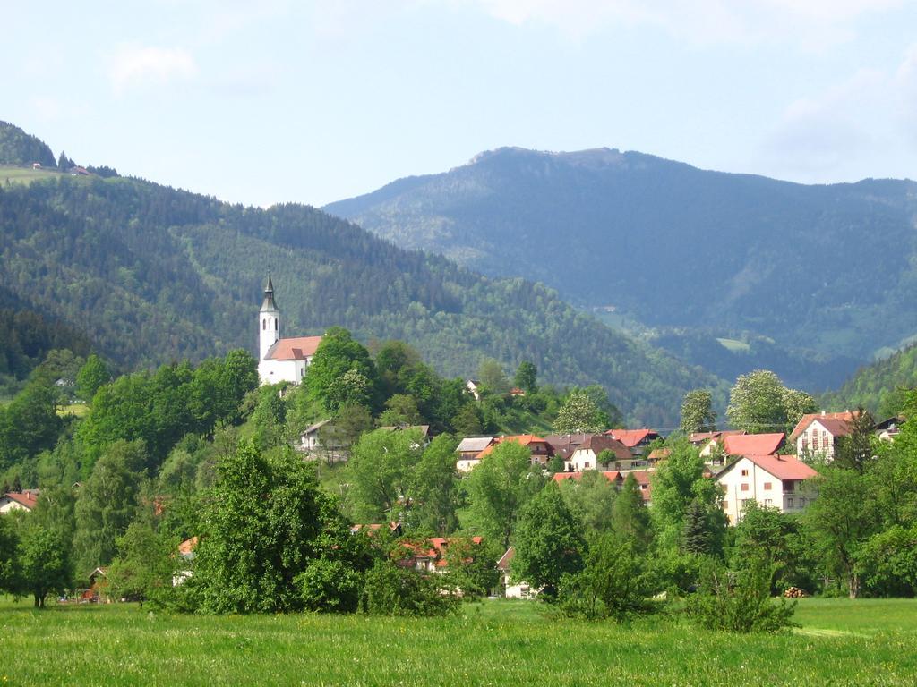 Farm Stay Bukovje Ljubno エクステリア 写真