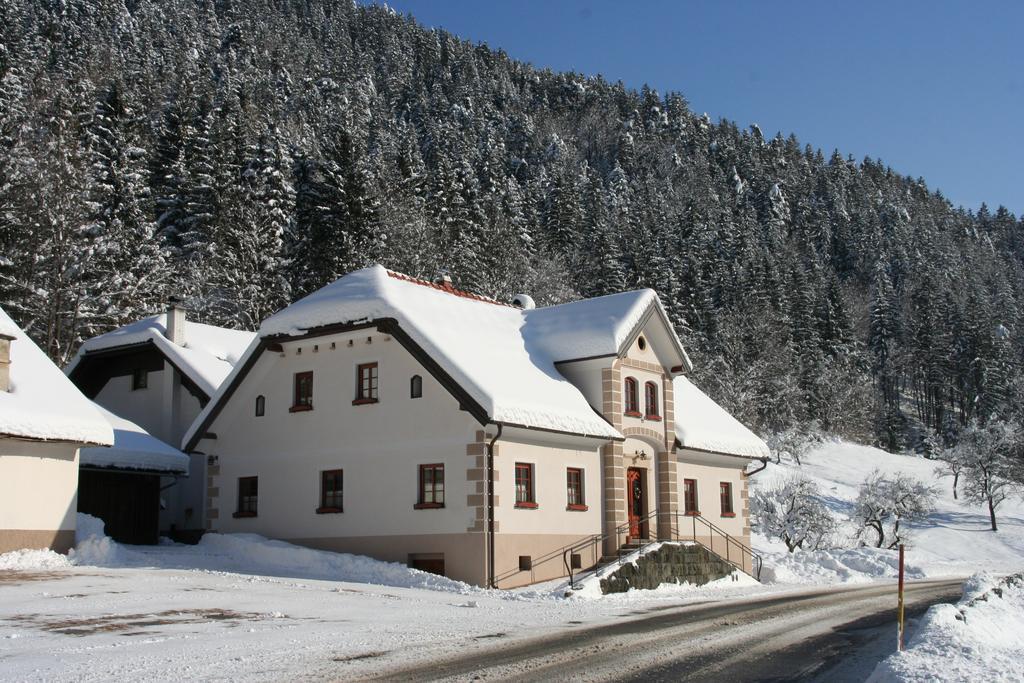 Farm Stay Bukovje Ljubno エクステリア 写真