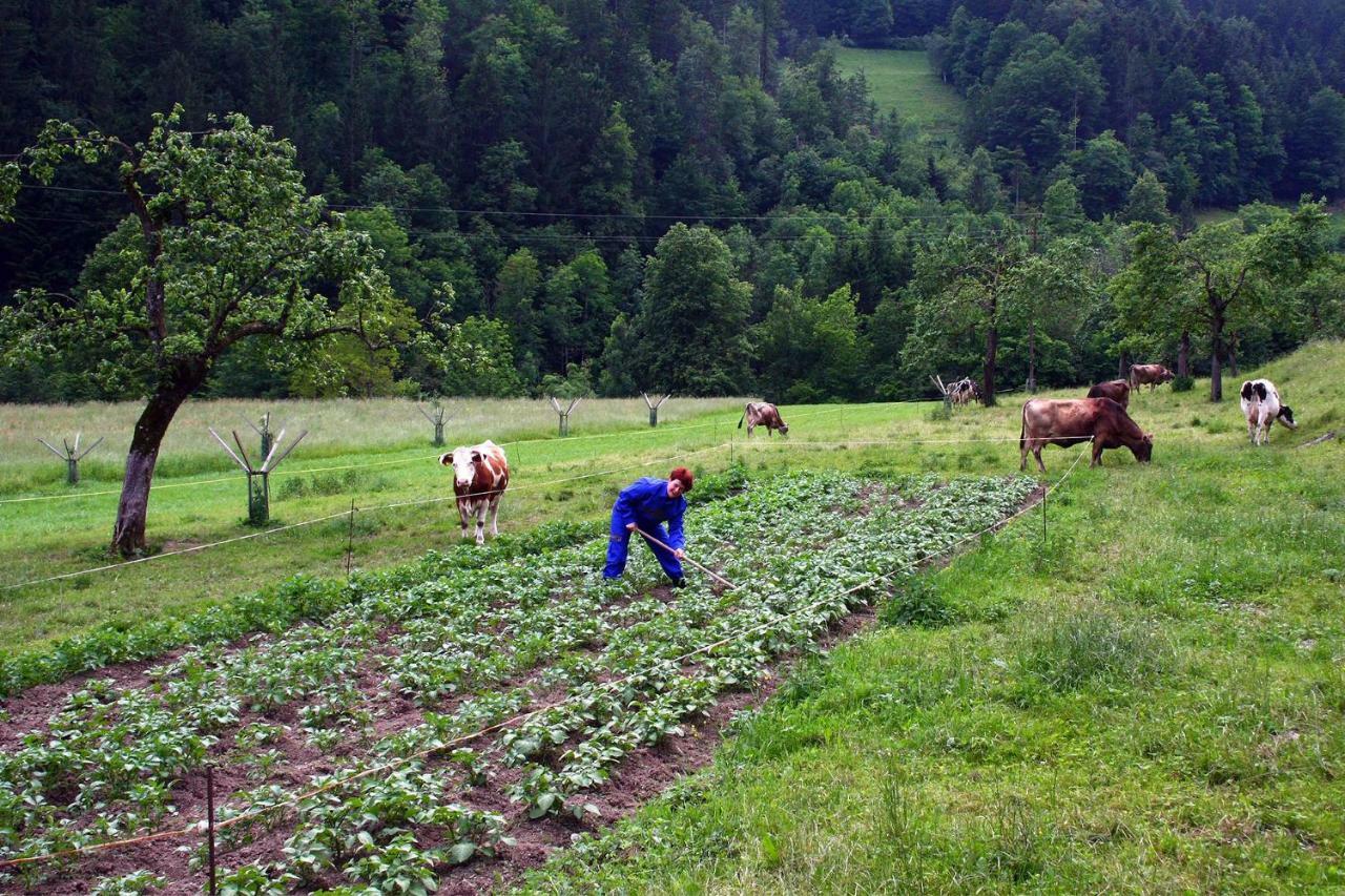 Farm Stay Bukovje Ljubno エクステリア 写真